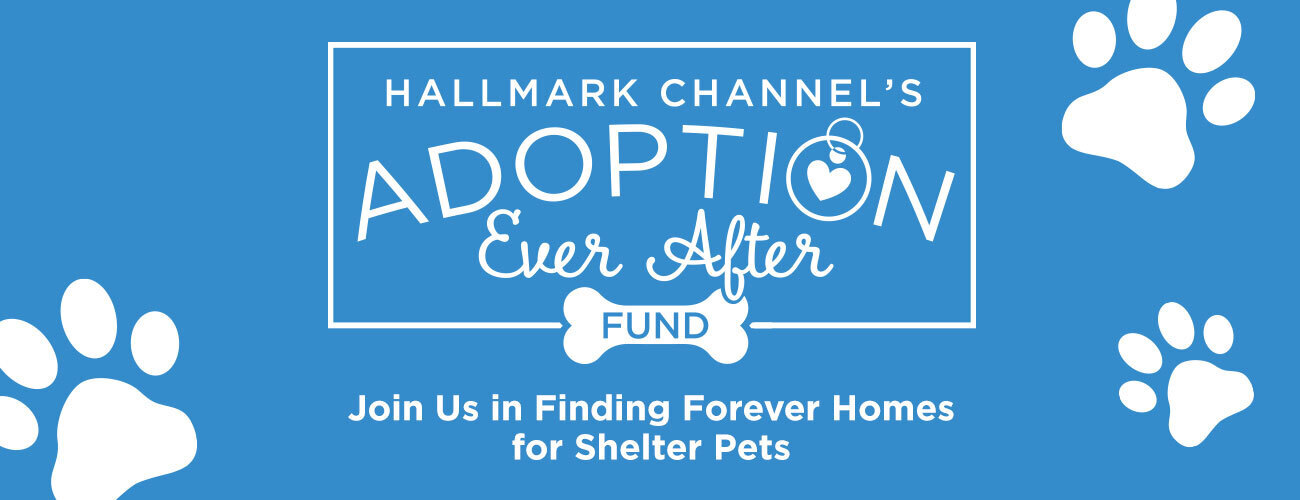 Adoption Ever After Fund Donate Now
